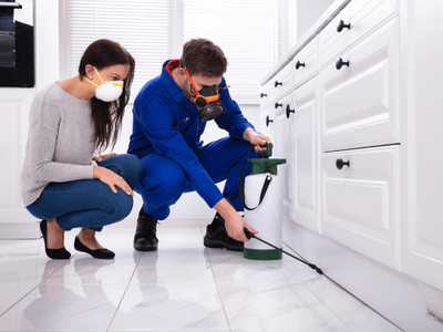 About Mayville Organic Pest Control - organic pest control experts in Mayville